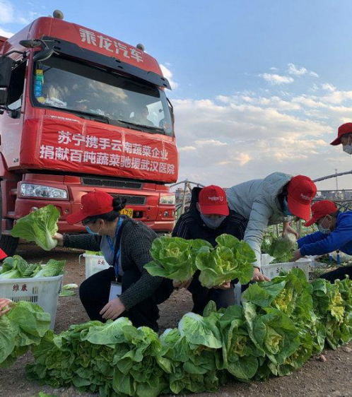 【0212-农产品上行】苏宁物流打通绿色通道 助滞销芦蒿6小时从田间到卖场力农产品上行768.png